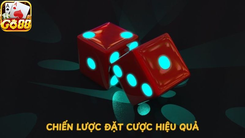 Kinh nghiệm đặt cược hiệu quả cao trong game tài xỉu Go88