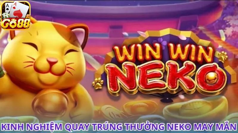 Chiến lược chinh phục Neko may mắn từ cao thủ